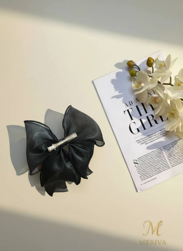 گیره مو پاپیونی کد 304