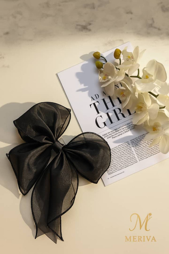 گیره مو پاپیونی کد 304